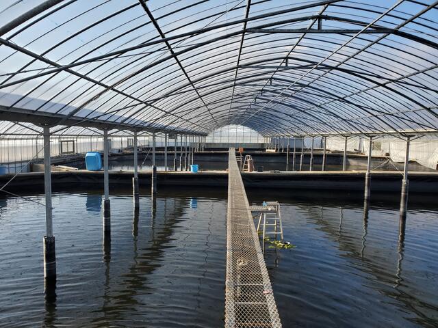 菊池市七城町橋田のその他