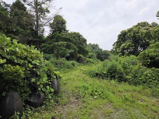 菊池市七城町山崎｜売地の写真6