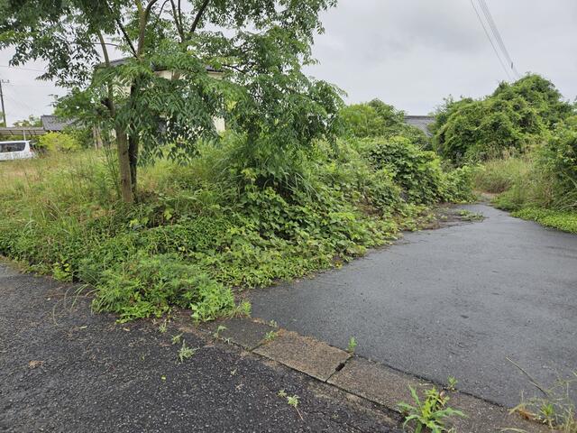荒尾市川登｜売地の写真5