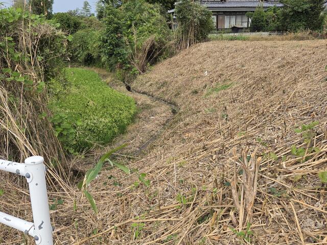 荒尾市川登|売地の写真7
