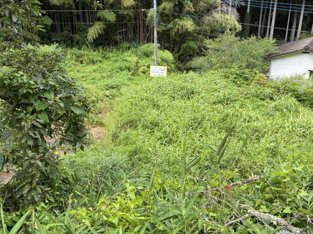 阿蘇郡小国町大字宮原｜売地の写真2