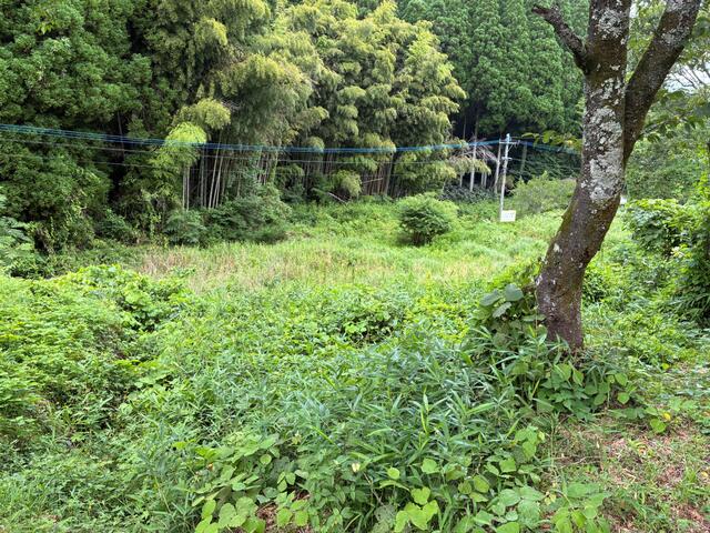 阿蘇郡小国町大字宮原｜売地の写真3