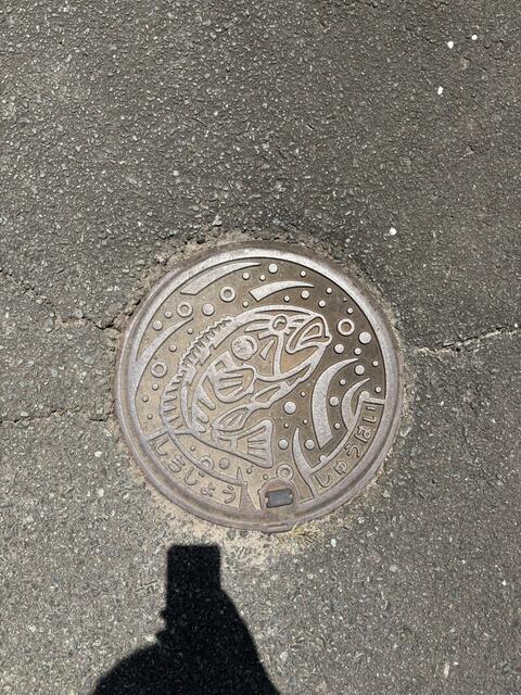 菊池市七城町橋田｜売地の写真10