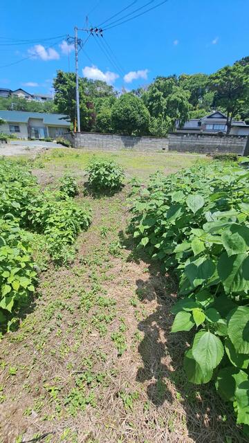 菊池郡大津町大字大津｜売地の写真12