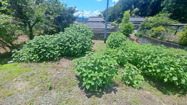 菊池郡大津町大字大津｜売地の写真10