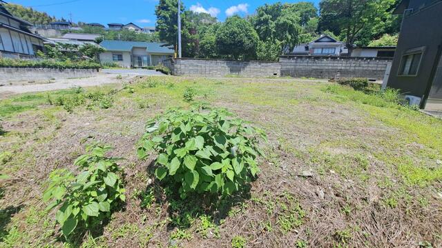 菊池郡大津町大字大津｜売地の写真11