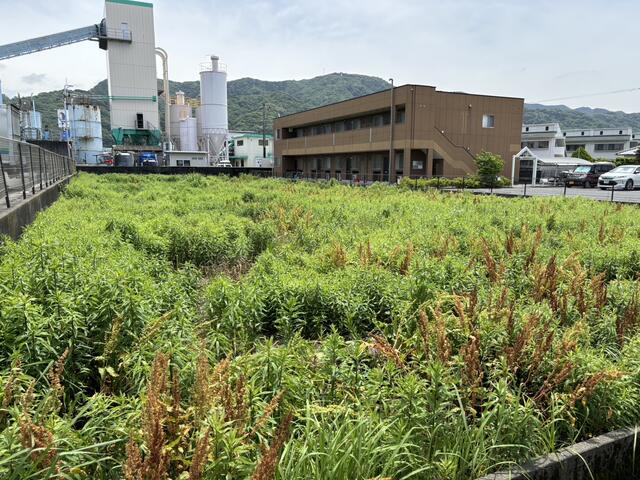 八代市本野町｜売地の写真2