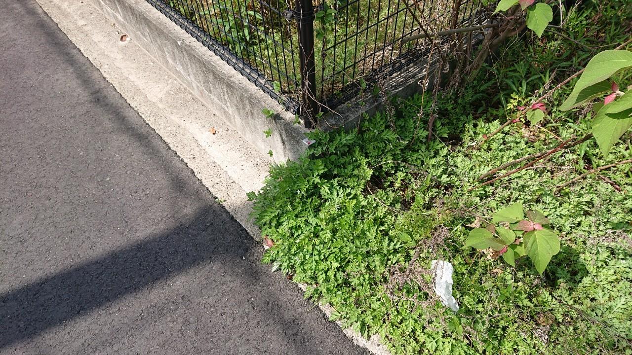 宇城市不知火町亀松｜売地の写真6