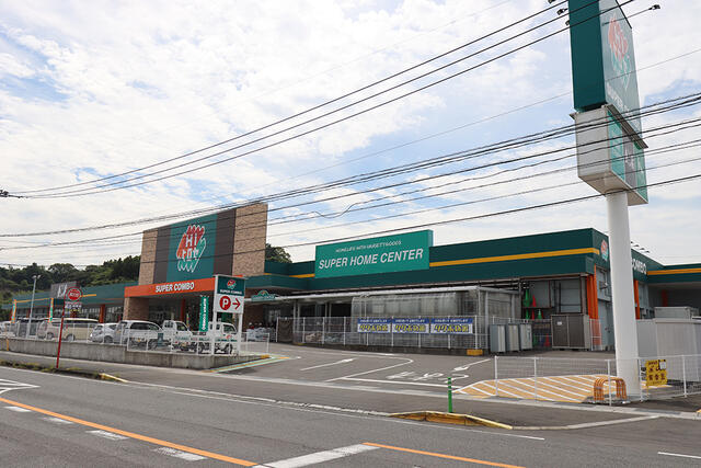 ＨＩヒロセ大在店 (252m)