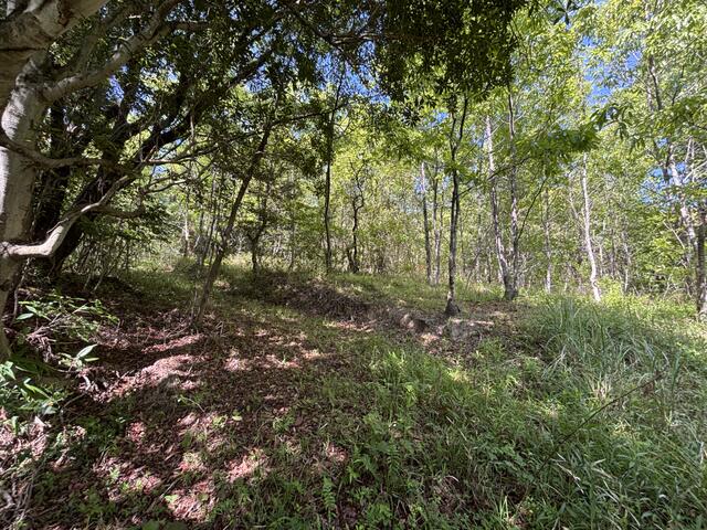 detached 大分県速見郡日出町大字真那井 地図を見る