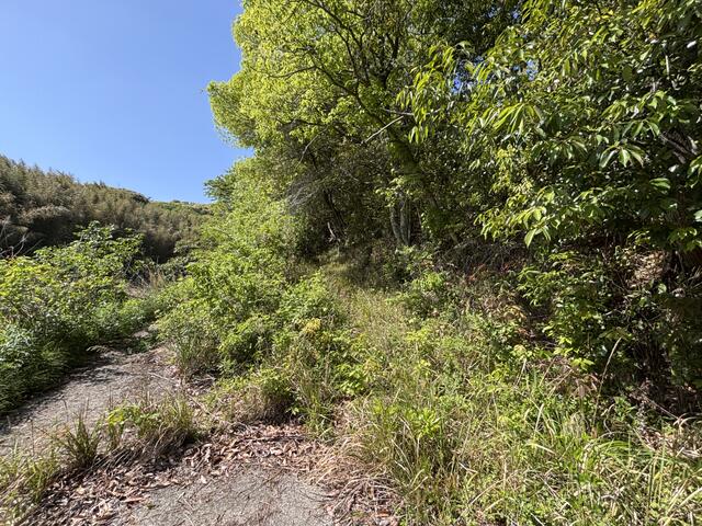 detached 大分県速見郡日出町大字真那井 地図を見る