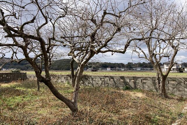 detached 大分県宇佐市大字四日市常徳 地図を見る