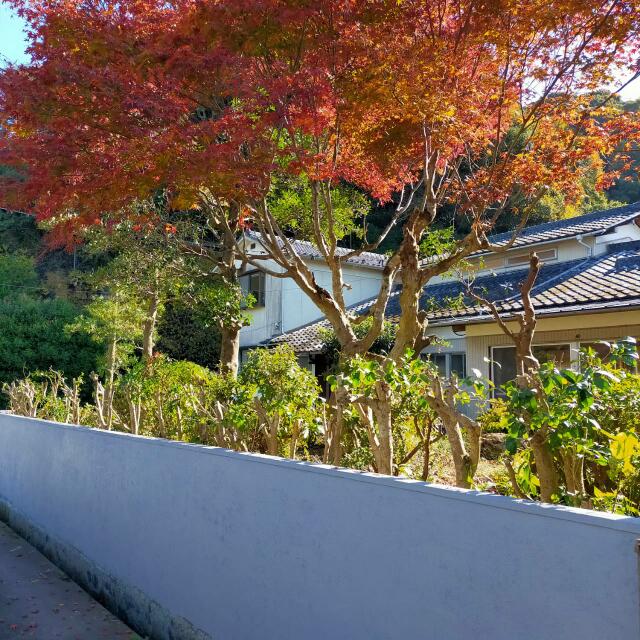 大分県大分市の一戸建て | 980万円 | 9DK | 915.67m² | Akiyama house finder