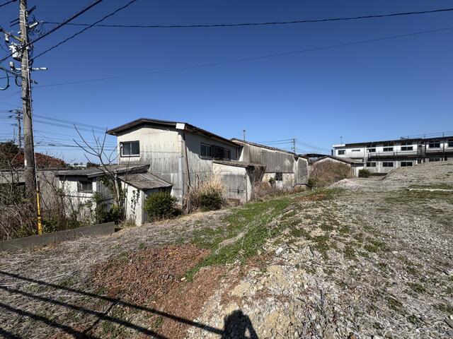マリンスポーツ、プロ野球キャンプ、ゴルフの聖地へと繋がる青島／撮影日2026-02-21
