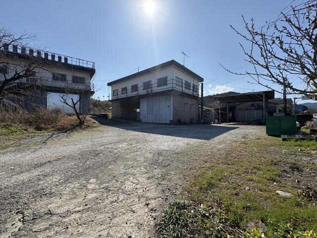 マリンスポーツ、プロ野球キャンプ、ゴルフの聖地へと繋がる青島／撮影日2026-02-21