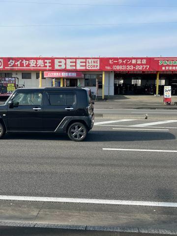 現地土地／前面道路を含む現地