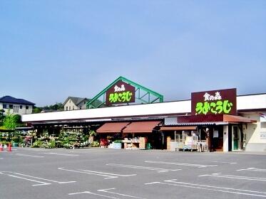 ナガノヤまなび野店 (1,509m)