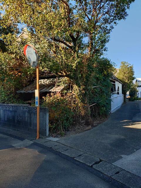 国富町立木脇小学校 (1,079m)