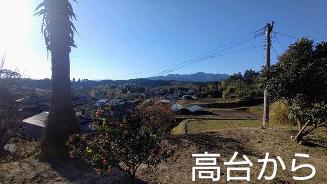 秋の画像
