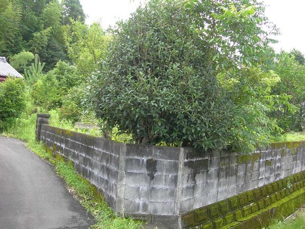 detached 宮崎県東諸県郡国富町大字八代北俣