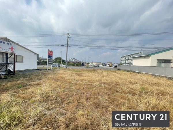 現地土地／現地土地写真で敷地の様子が分かります