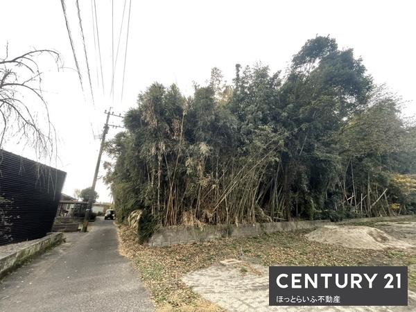 現地土地／現地土地写真で環境確認できます