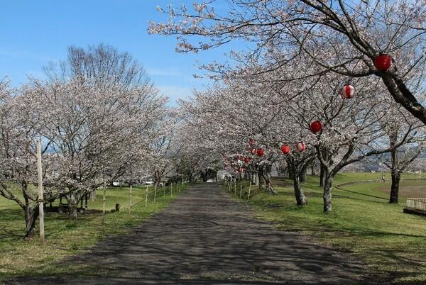 旭ヶ丘運動公園野球場 (1,021m)