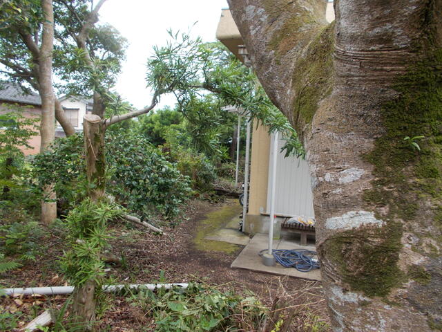 detached 鹿児島県南さつま市加世田高橋