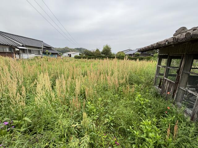 detached 鹿児島県薩摩川内市入来町浦之名