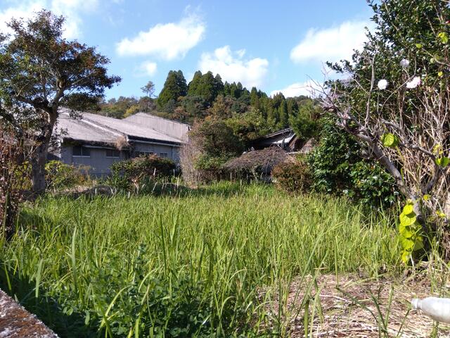 【ハトマークサイト】鹿児島県霧島市横川町中ノの 売地