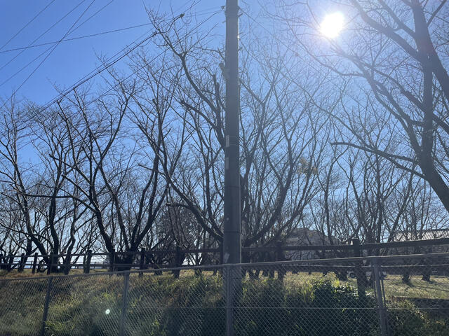 detached 鹿児島県鹿児島市下竜尾町