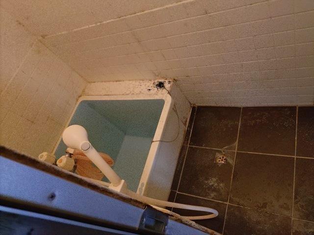 浴室／撮影日2025-10-11