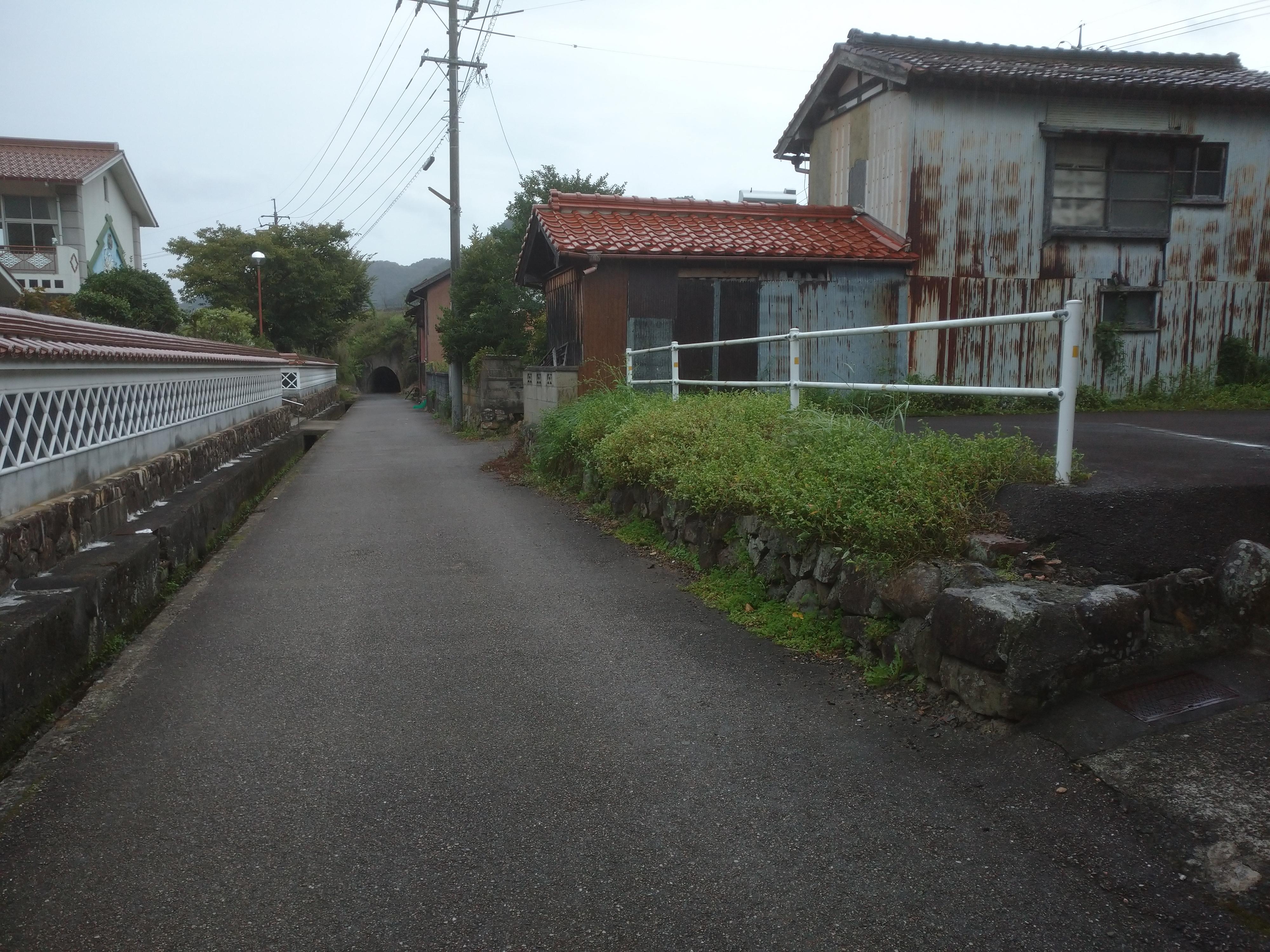 現地土地／西側接道