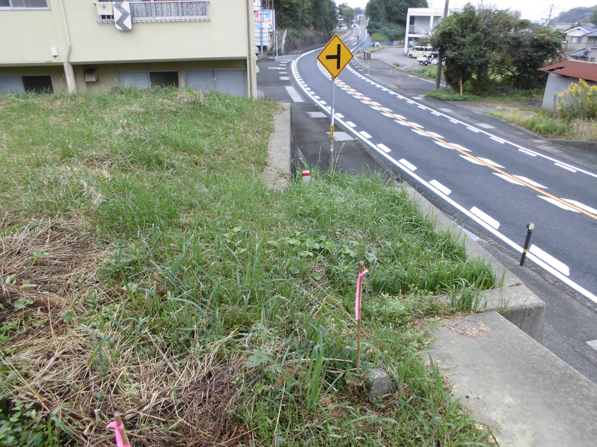 現地土地／北側（一般国道９号）