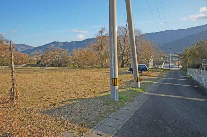 西側　前面道路