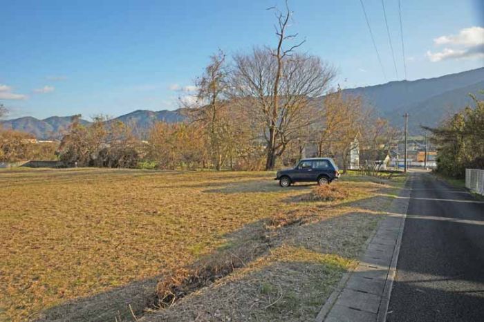 西側　前面道路