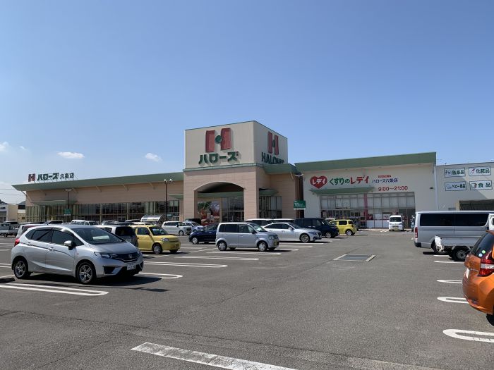 ハローズ六条店 (1,180m)