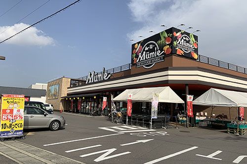 ムーミー林店 (1,230m)