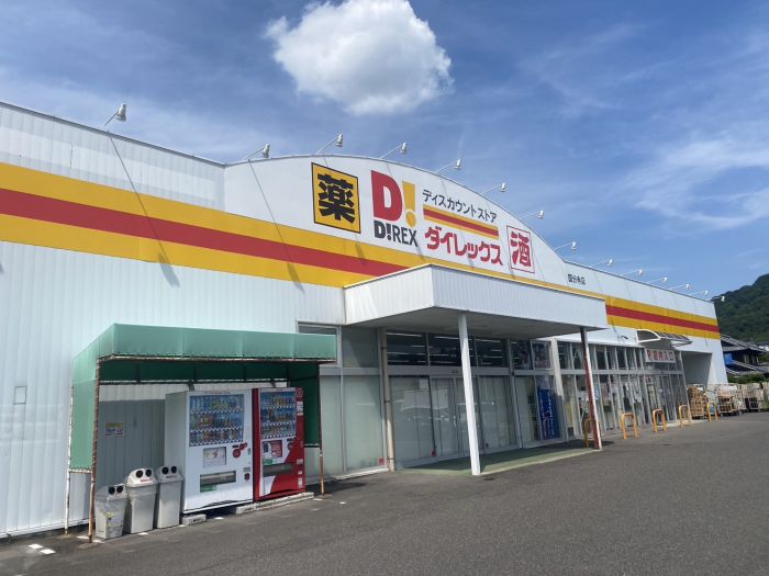 ダイレックス国分寺店 (362m)