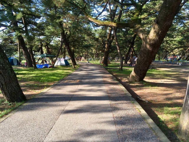 県立種崎千松公園 (316m)