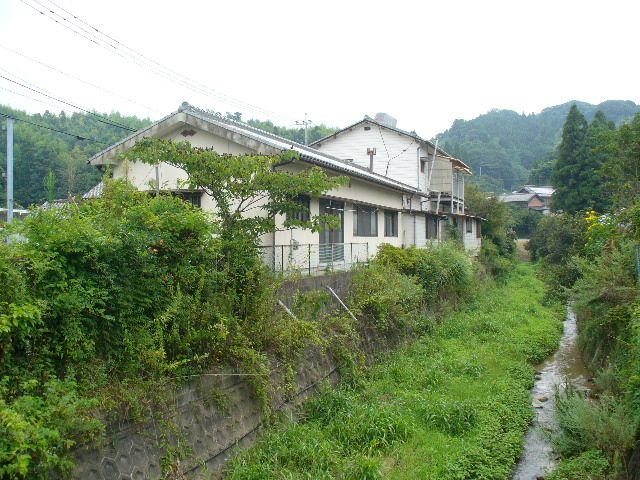 蛍の舞う野田川沿い