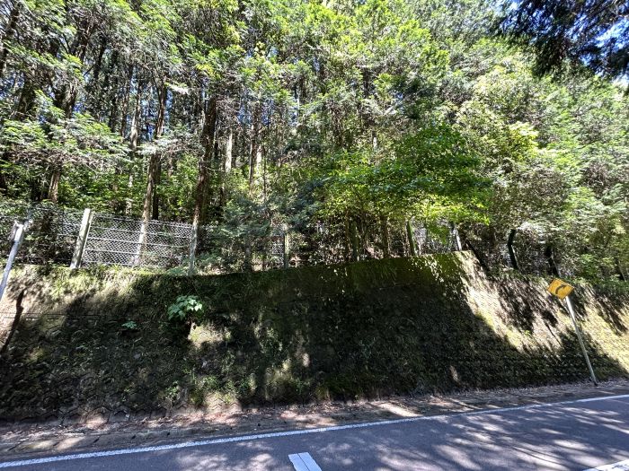 現地写真（乙1944）