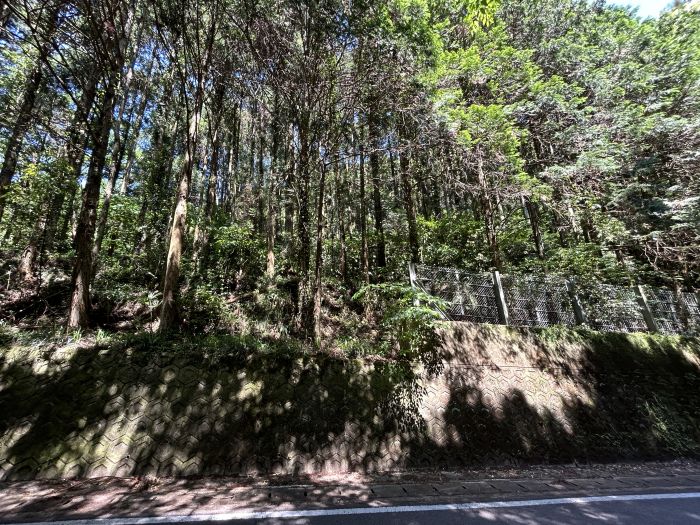 現地写真（乙1944）