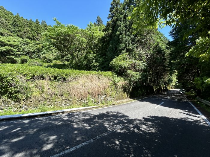 現地写真（乙1944）