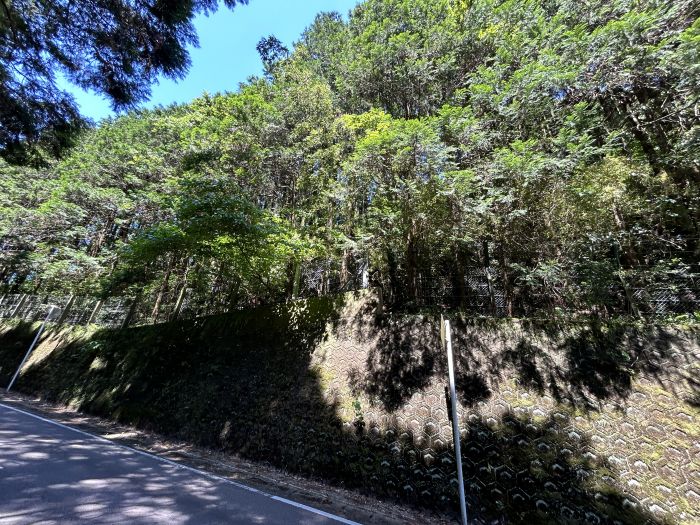 現地写真（乙1944）