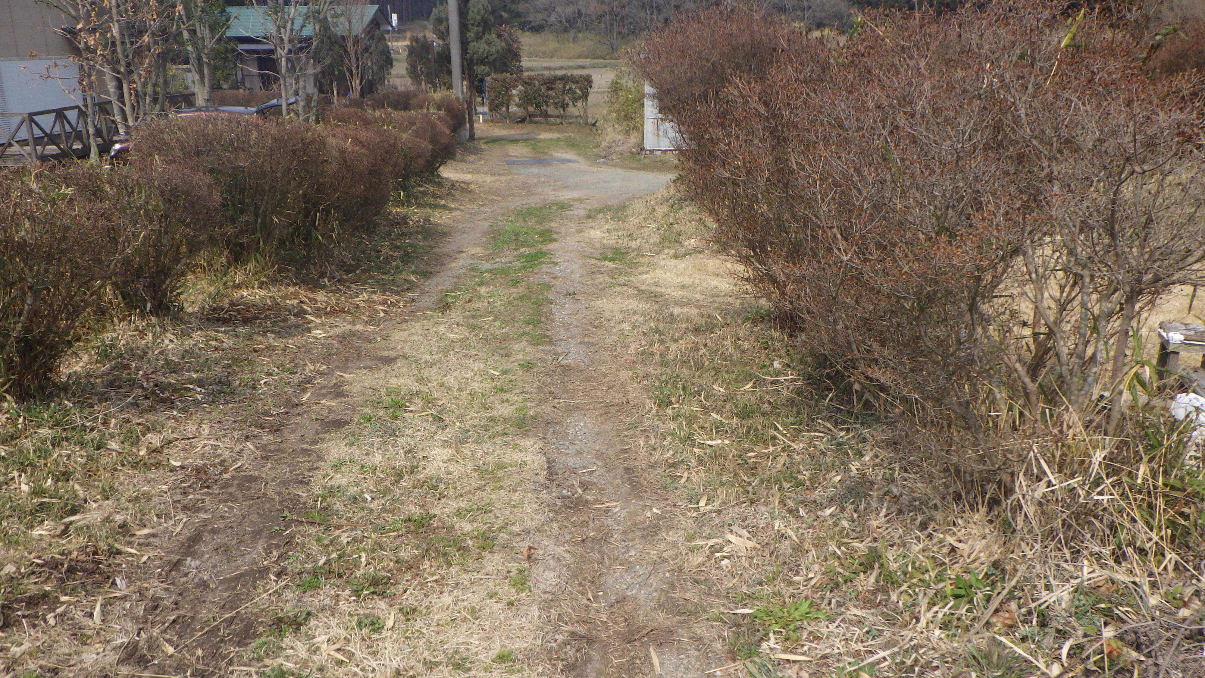 現地土地（前面道路含む）