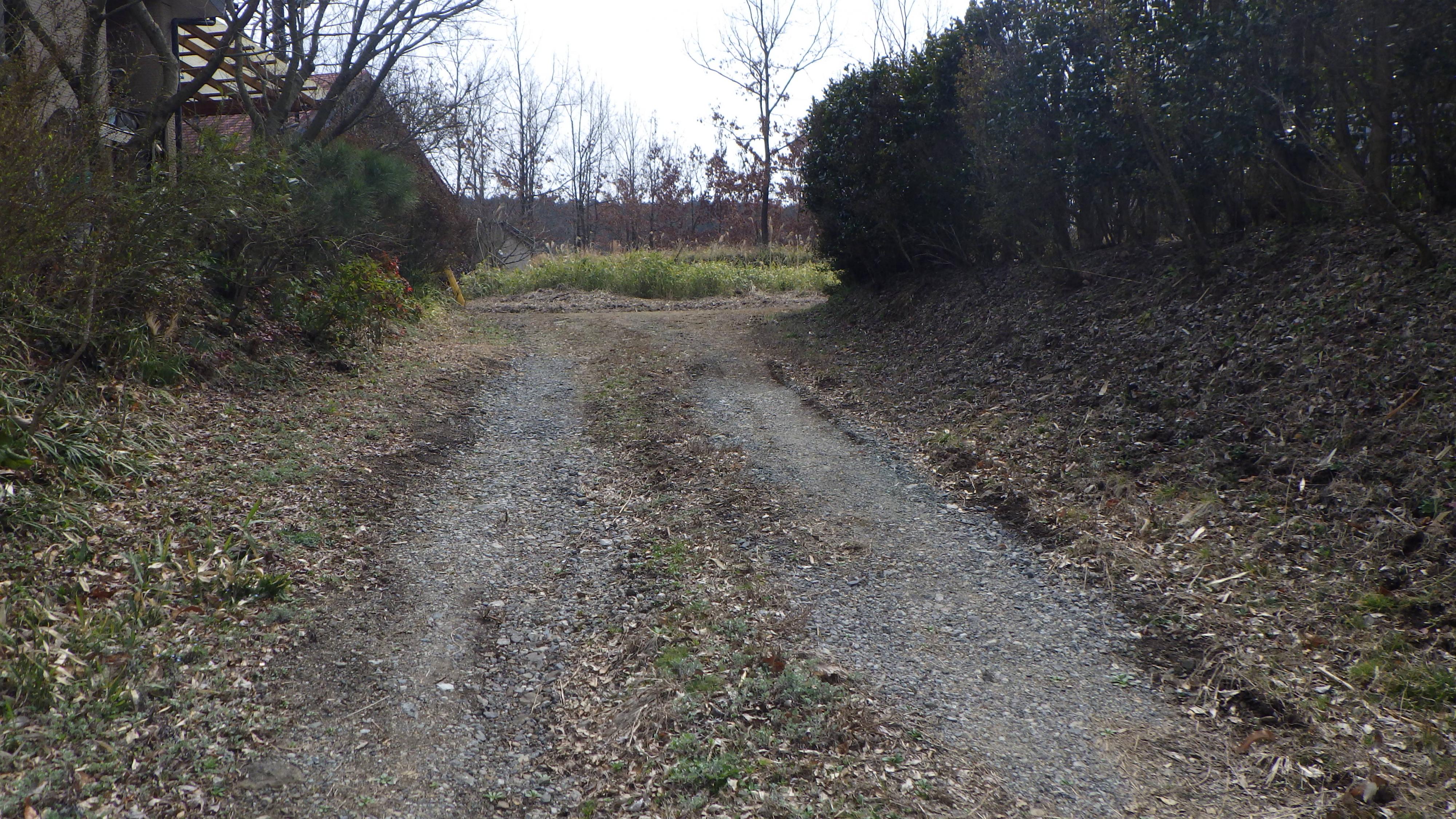 現地土地（前面道路含む）