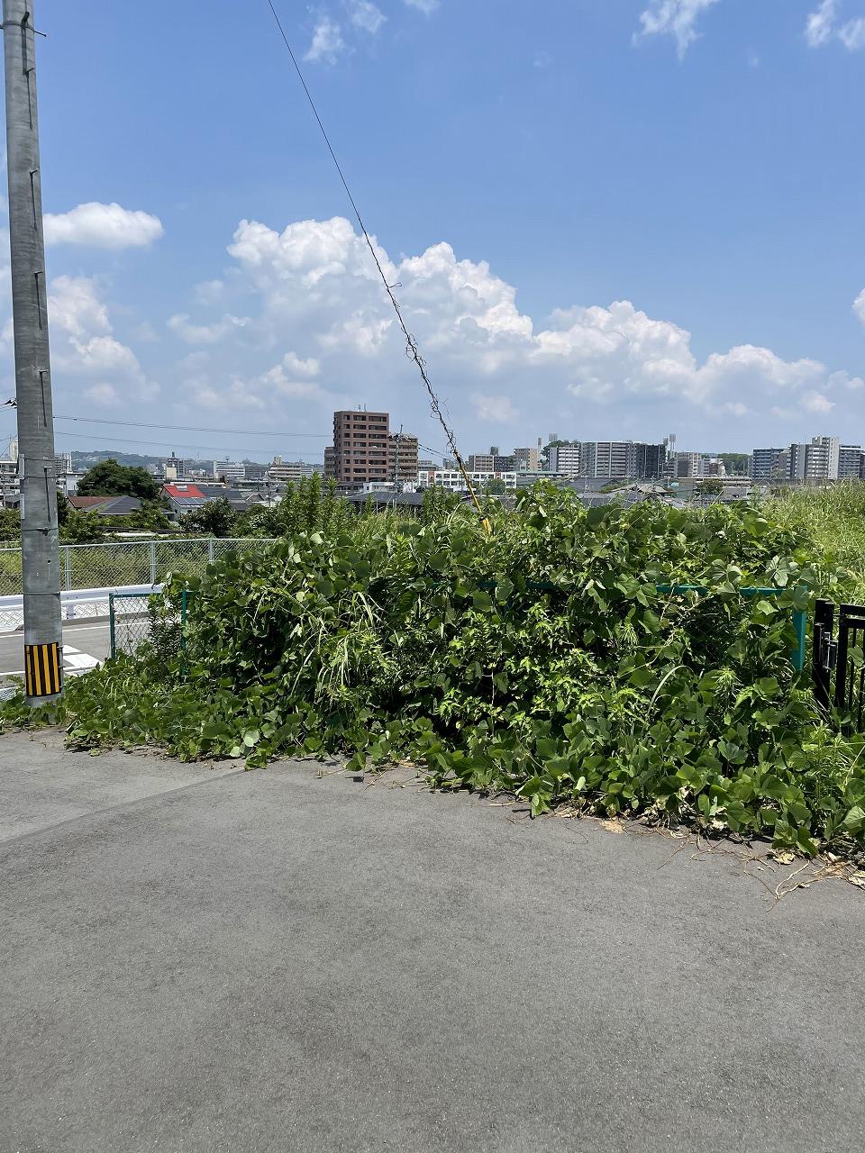 現地土地（前面道路含む）