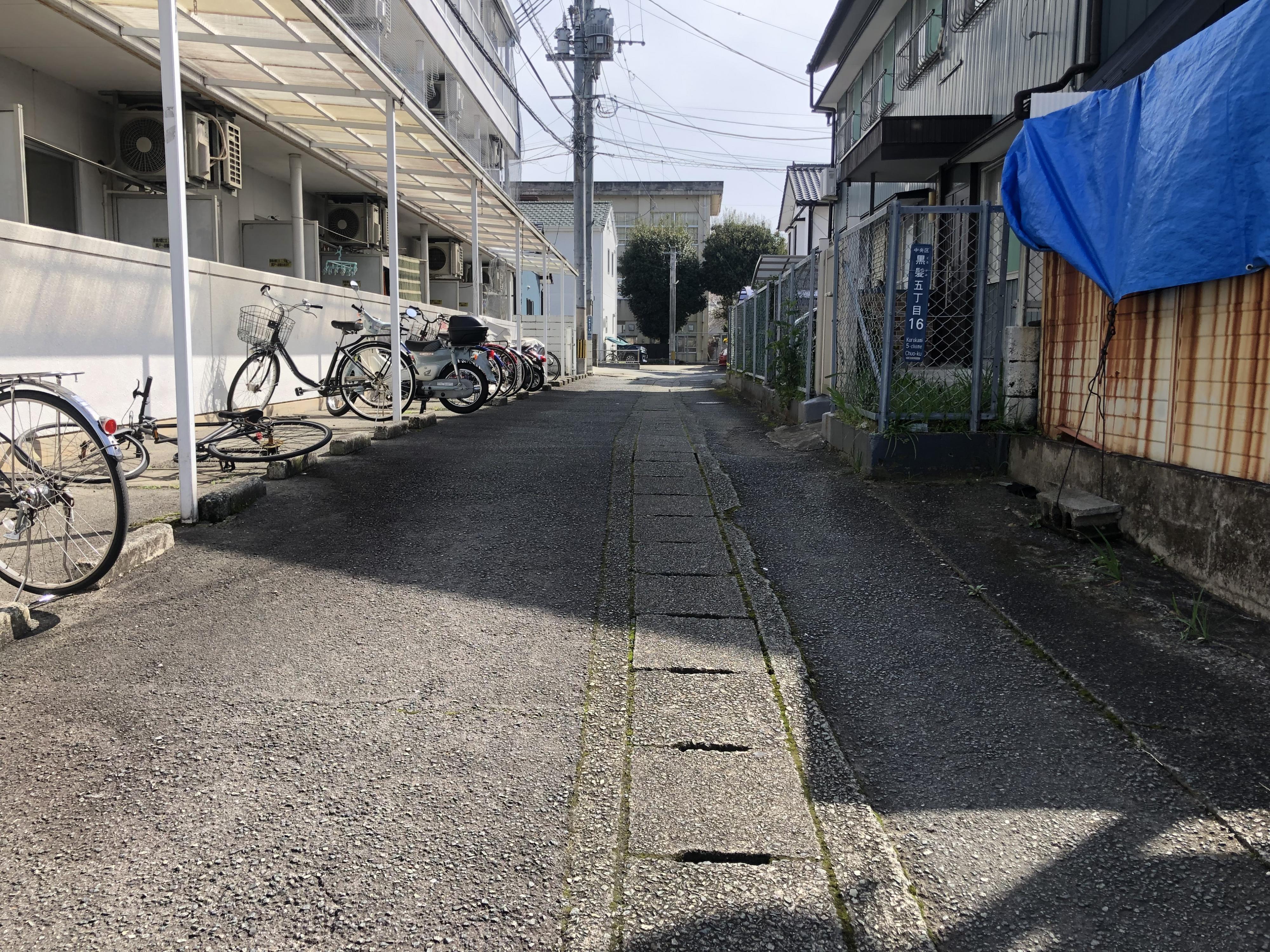 現地土地（前面道路含む）