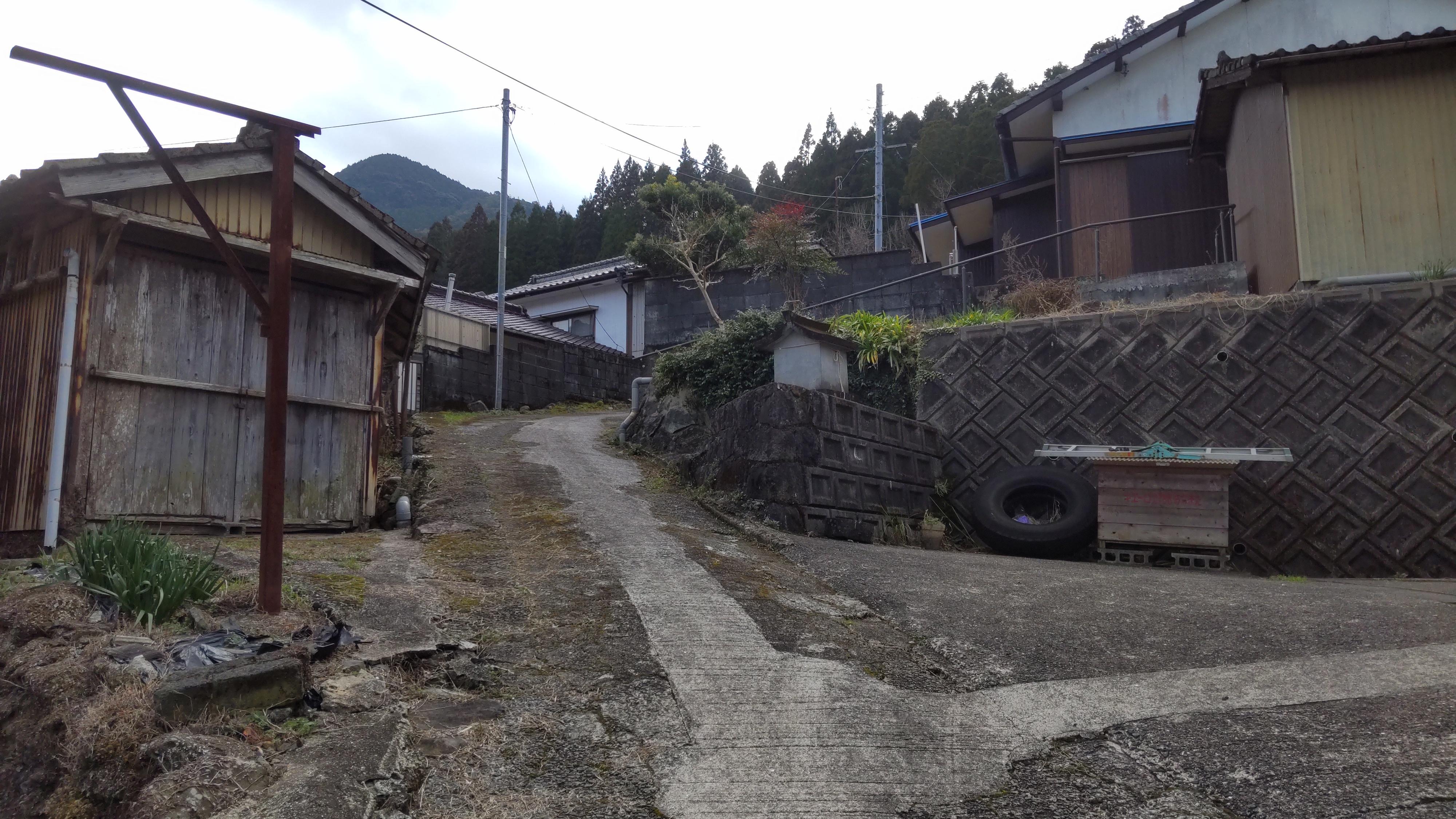 現地写真（前面道路含む）／左手に小屋１